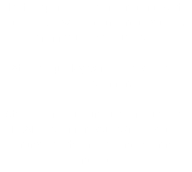 Rich experience of interfacing with all people withing an organisation. (from student to C-level) Able to quickly win the respect of the customer. Able to find out and understand the REAL customer issues/needs and translate them into engineering language.